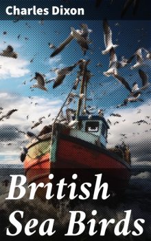 British Sea Birds, Charles Dixon