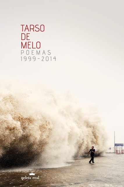 Poemas 1999–2014, Tarso de Melo