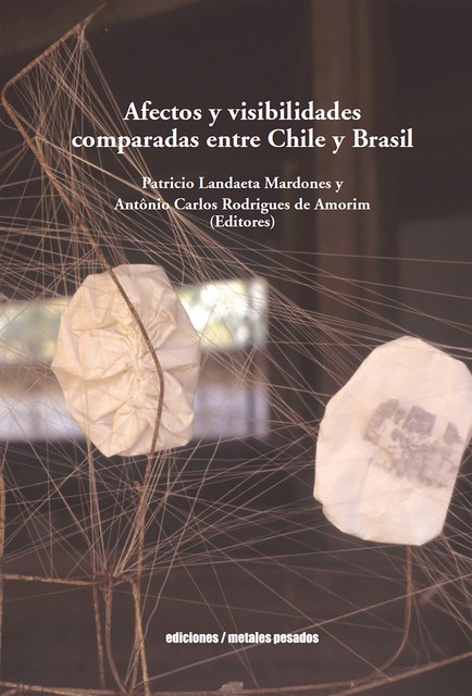 Afectos y visibilidades comparadas entre Chile y Brasil, Patricio Landaeta Mardones y Antonio Carlos Rodrigues Amorim