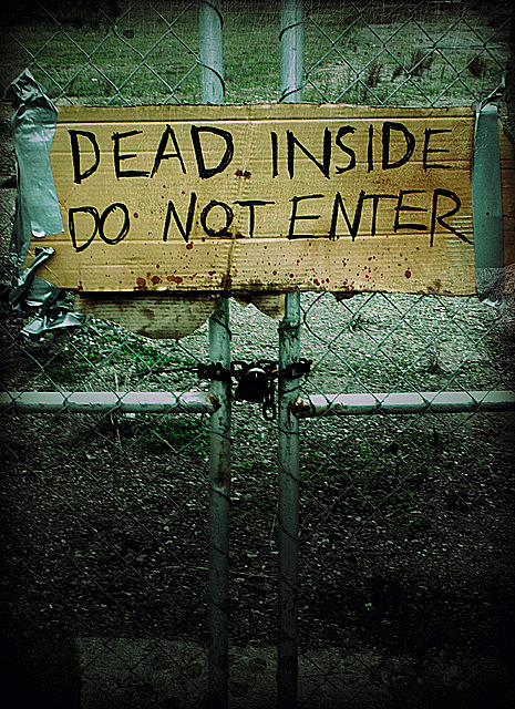 Dead Inside: Do Not Enter, Lost Zombies