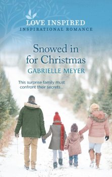 Snowed in for Christmas, Gabrielle Meyer