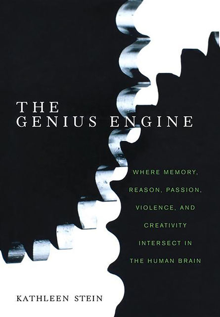 The Genius Engine, Kathleen Stein