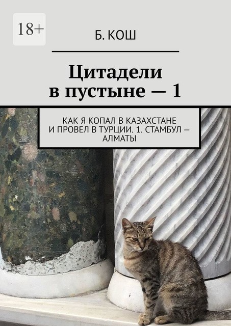 Цитадели в пустыне — 1. Как я копал в Казахстане и провел в Турции. 1. Стамбул — Алматы, Б.П. Кош