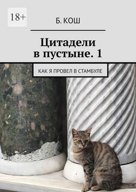 Цитадели в пустыне — 1. Как я копал в Казахстане и провел в Турции. 1. Стамбул — Алматы, Б.П. Кош