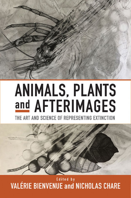 Animals, Plants and Afterimages, Nicholas Chare, Valérie Bienvenue