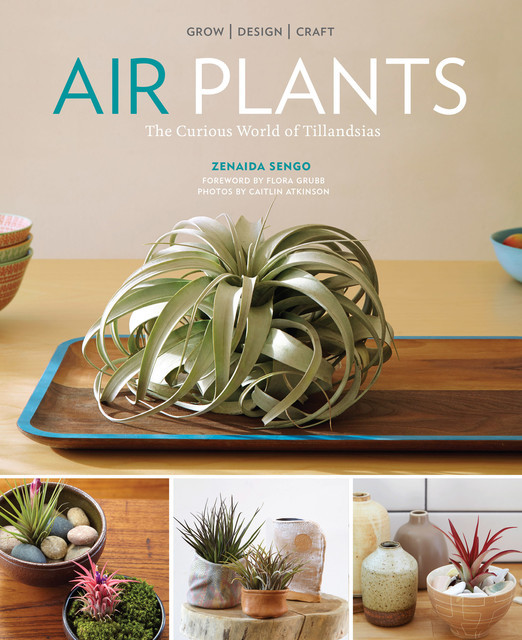 Air Plants, Zenaida Sengo