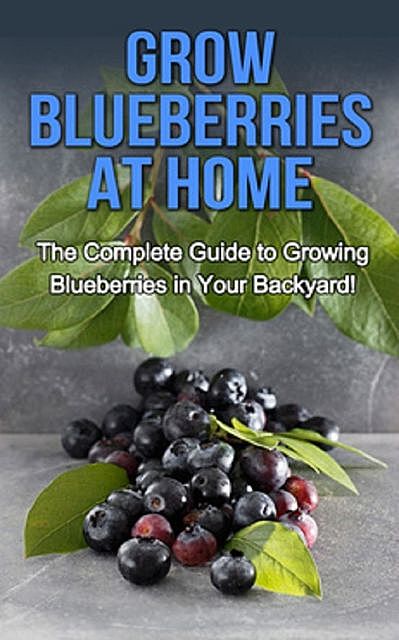 Grow Blueberries at Home, Steve Ryan