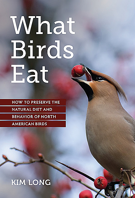 What Birds Eat, Kim Long