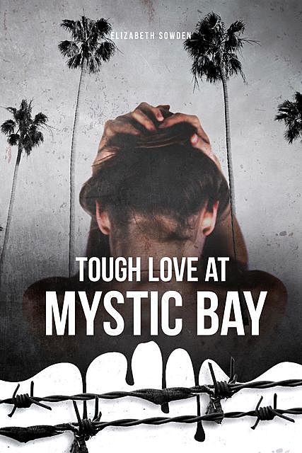 Tough Love at Mystic Bay, Elizabeth Sowden