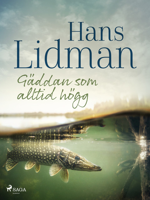 Gäddan som alltid högg, Hans Lidman