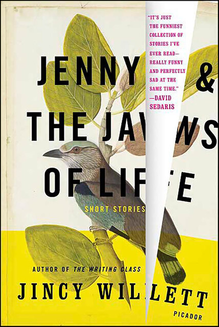 Jenny & the Jaws of Life, Jincy Willett