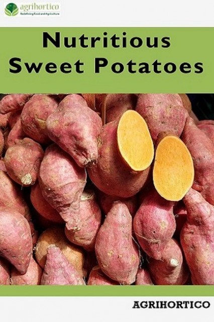 Nutritious Sweet Potatoes, Agrihortico CPL