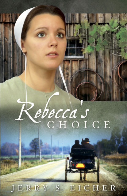 Rebecca's Choice, Jerry S.Eicher