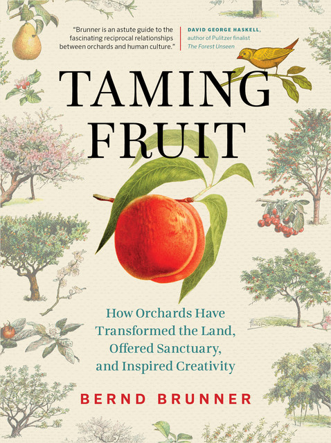 Taming Fruit, Bernd Brunner