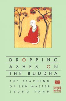 Dropping Ashes on the Buddha, Stephen Mitchell