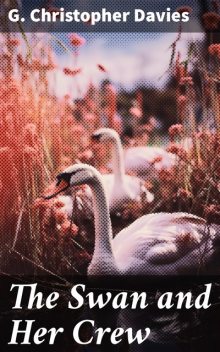 The Swan and Her Crew or The Adventures of Three Young Naturalists and Sportsmen on the Broads and Rivers of Norfolk, G.Christopher Davies
