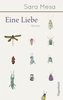 Eine Liebe, Sara Mesa