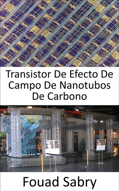 Transistor De Efecto De Campo De Nanotubos De Carbono, Fouad Sabry