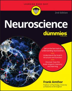 Neuroscience For Dummies, Frank Amthor