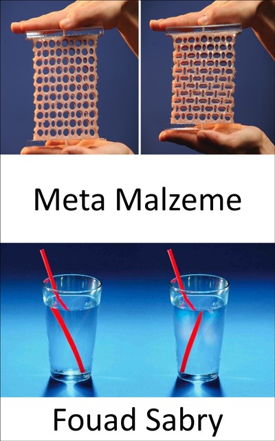 Meta Malzeme, Fouad Sabry