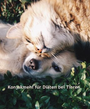 Konjakmehl für Diäten bei Tieren, C.C. Brüchert
