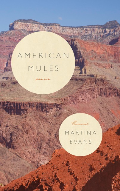 American Mules, Martina Evans
