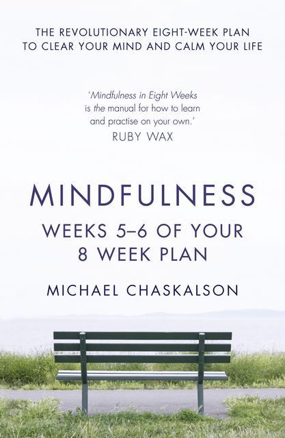 Mindfulness: Weeks 5–6 of Your 8-Week Plan, Michael Chaskalson