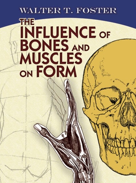 Influence of Bones and Muscles on Form, Walter T.Foster