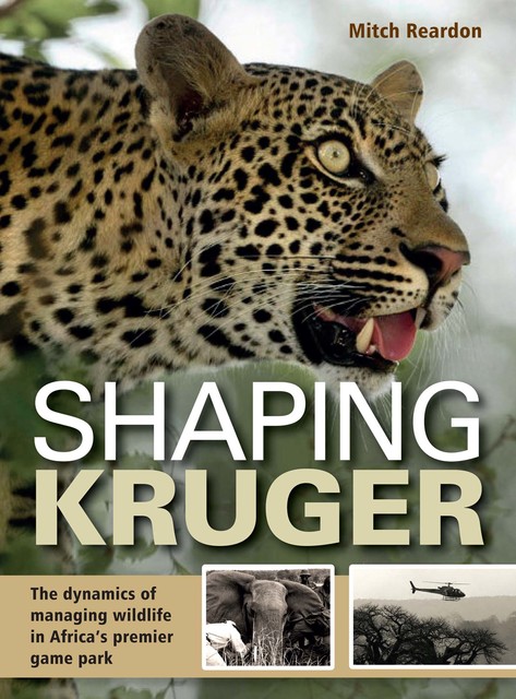 Shaping Kruger, Mitch Reardon