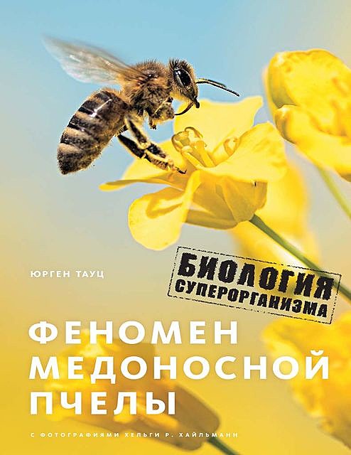 Феномен медоносной пчелы. Биология суперорганизма, Юрген Тауц