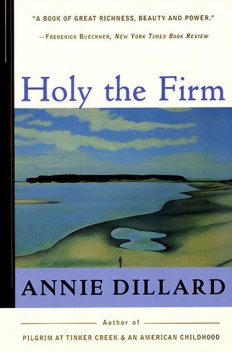 Holy the Firm, Annie Dillard