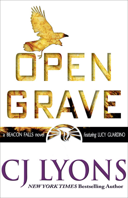 Open Grave, CJ Lyons
