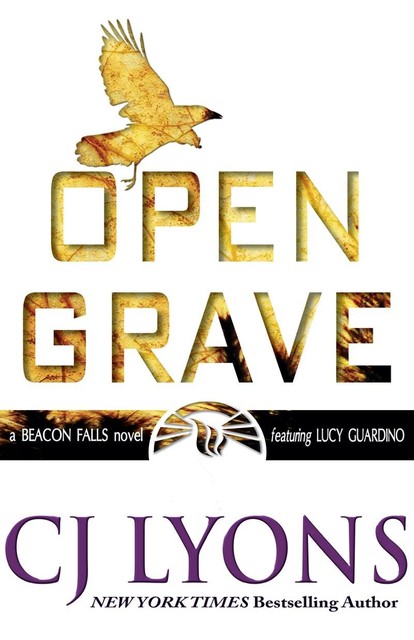 Open Grave, CJ Lyons