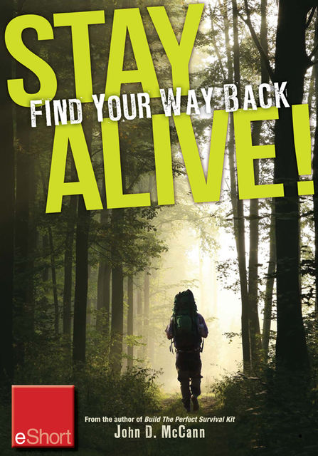 Stay Alive – Find Your Way Back eShort, John McCann