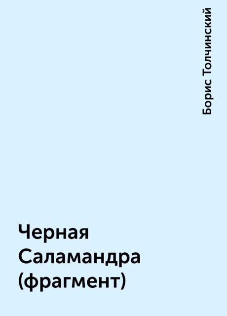 Черная Саламандра (фрагмент), Борис Толчинский