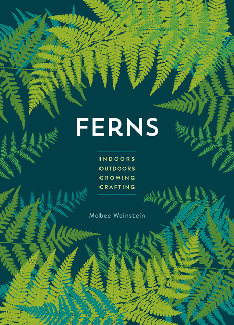 Ferns, Mobee Weinstein