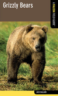 Grizzly Bears, Jack Ballard