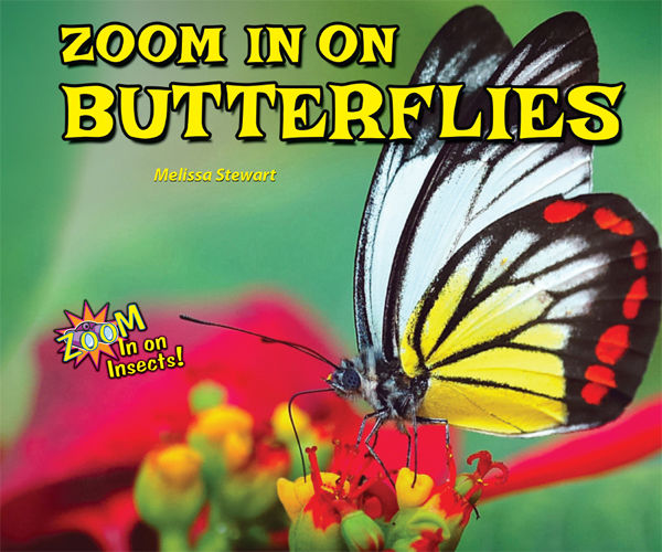 Zoom In on Butterflies, Melissa Stewart