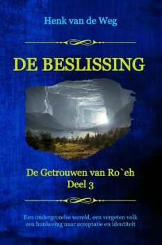 De beslissing, Henk van de Weg
