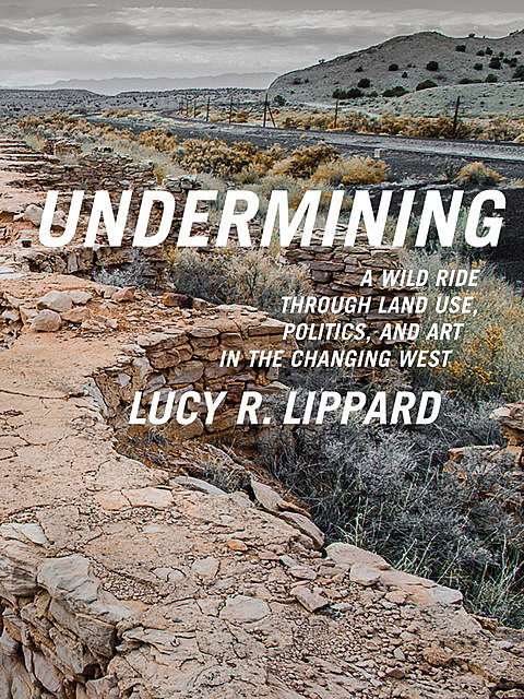 Undermining, Lucy R. Lippard