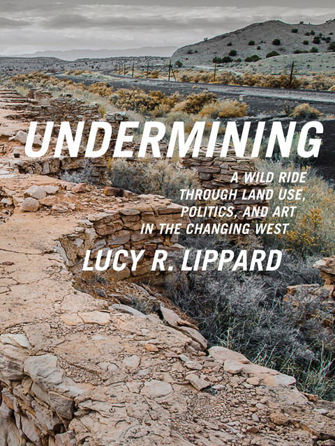 Undermining, Lucy R. Lippard