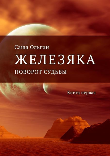 Железяка. Поворот судьбы. Книга первая, Саша Ольгин