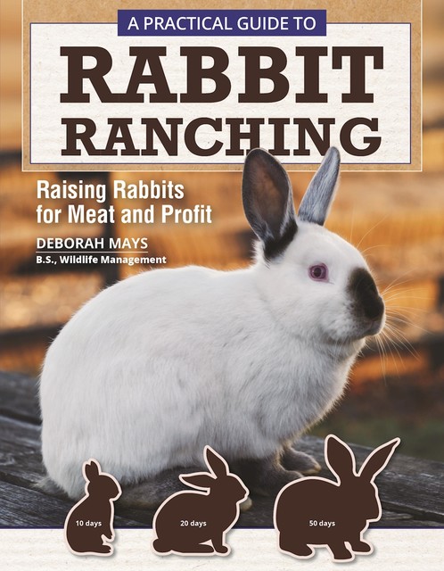 A Practical Guide to Rabbit Ranching, Deborah Mays