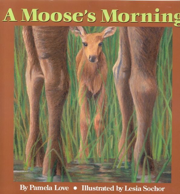 A Moose's Morning, Pamela Love