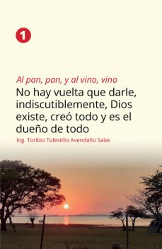 Al pan, pan, y al vino, vino 1, Ing. Toribio Tulestilio Avendaño Salas