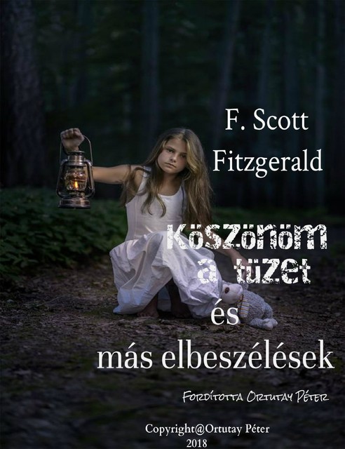 Köszönöm a tüzet és más elbeszélések, F.Scott Fitzgerald