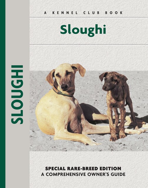 Sloughi, M. Crappon de Caprona