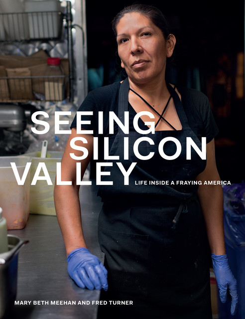 Seeing Silicon Valley, Beth Meehan, Mary Beth Meehan