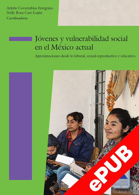 Jóvenes y vulnerabilidad social en el México actual, Nelly Rosa Caro Luján