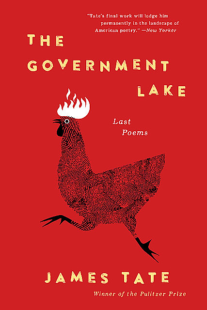 The Government Lake, James Tate